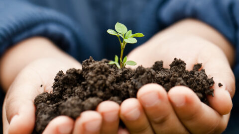 MBA Direito Ambiental